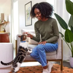 Temptations Classic Tasty Chicken Flavor Cat Treats -BlueBuffalo Sales Store GUEST 4414ac1b 8537 488b adcb 396695bcf800