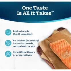 Blue Buffalo Tastefuls Natural Pate Wet Cat Food With Salmon Entrée - 5.5oz -BlueBuffalo Sales Store GUEST 49f24e17 856a 4297 b09d b8b1b48d7303