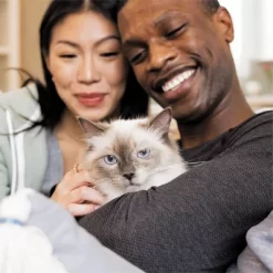 IAMS Proactive Health Hairball Care With Chicken & Salmon Adult Premium Dry Cat Food -BlueBuffalo Sales Store GUEST 4a367acd 783f 4c10 b1a0 d98f5c79827e 1