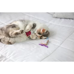 Quirky Kitty Flingin' Purr Tarts Cat Plush Toy - Gray -BlueBuffalo Sales Store GUEST 4de47003 cde1 4185 91d4 f5d16f0e7ccc