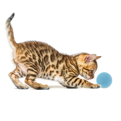 Unique Bargains Cat Playing Ball With Bell 1 Pc 2 Unique Bargains Cat Playing Ball With Bell 1 Pc - Image 2