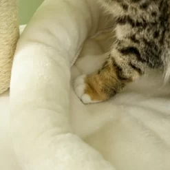 SKYONE 3-Level Cat Tree With Sisal Scratching Posts, Plush Cushions, Condo & Badminton Toys - Ideal -BlueBuffalo Sales Store GUEST 536ca84d 1df8 4bc0 9ebc 4e9e6f00d0d6