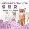 All For Paws Allforpaws Cat Litter Natural Tofu Cat Litter, Green Purr Eco Cat Litter With Strong Odor Control, 9.9lb/4.5kg (2 X 2.25kg)