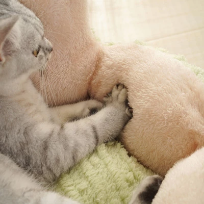 Fairyland™ - Cactus Blossom Cat Bed – Cozy Pet Nest For Deep Sleep & Comfort 3 Fairyland™ - Cactus Blossom Cat Bed – Cozy Pet Nest For Deep Sleep & Comfort - Image 3