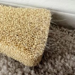 Grand Fusion Silicone Pet Hair Remover 2 Pk, Made In The USA -BlueBuffalo Sales Store GUEST 578bbf5c 9db8 4ff4 82f3 2ef4406ba121