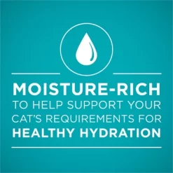 Purina ONE Turkey Wet Cat Food - 3oz 14 Purina ONE Turkey Wet Cat Food - 3oz -BlueBuffalo Sales Store GUEST 599c0b30 bb7e 4856 85ff 927a549966bc