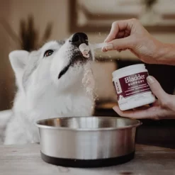 Fera Pet Organics Bladder Support Powder For Dog And Cats - Chicken Flavor - 2.16oz -BlueBuffalo Sales Store GUEST 5a99fcdf 30fb 43e5 b27b 83d50dae45bc