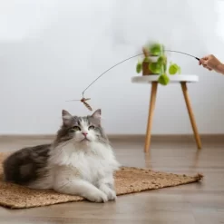 Unique Bargains Cat Teaser Windmill Style Handheld With Bell Brown -BlueBuffalo Sales Store GUEST 5cdb57dd e374 4cbd 9a52 f8d56466fb85