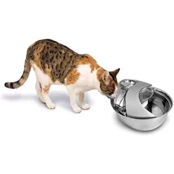 Pioneer Pet Raindrop Stainless Steel Pet Drinking Fountain