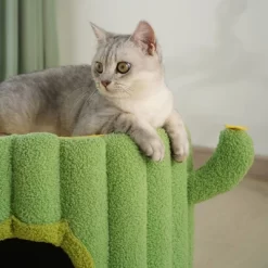 Fairyland™ - Cactus Sisal Bucket Cat Bed - Cute Plush Cat House With Scratching Post For Indoor Cats 16 Fairyland™ - Cactus Sisal Bucket Cat Bed - Cute Plush Cat House With Scratching Post For Indoor Cats -BlueBuffalo Sales Store GUEST 60493a13 4688 4284 aaa8 91fcc23034f0