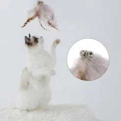 Unique Bargains Cat Feather Plaything Cat Wand Replacement Feather Fluffy Plume Gray Brown 3 Pcs 6 Unique Bargains Cat Feather Plaything Cat Wand Replacement Feather Fluffy Plume Gray Brown 3 Pcs -BlueBuffalo Sales Store GUEST 60c0eec3 19bf 4237 9796 0d7cb4f2bc60