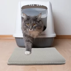 PETMAKER 24x15-Inch Double-Layer Waterproof Cat Litter Mat (Gray)