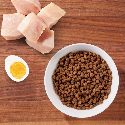 IAMS Proactive Health With Chicken Kitten Premium Dry Cat Food 1 IAMS Proactive Health With Chicken Kitten Premium Dry Cat Food