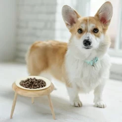 Unique Bargains Elevated Cat Bowl Beige 1 Set 11 Unique Bargains Elevated Cat Bowl Beige 1 Set -BlueBuffalo Sales Store GUEST 647ef54b 1852 476f 9703 2b077ad3efdc