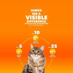 IAMS Proactive Health With Chicken Senior Premium Dry Cat Food -BlueBuffalo Sales Store GUEST 661fa3dc e8e2 426b 805f 17625a105839