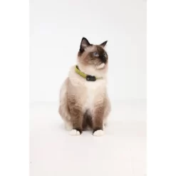 Tickless Natural Flea & Tick Repellent For Cats - Black