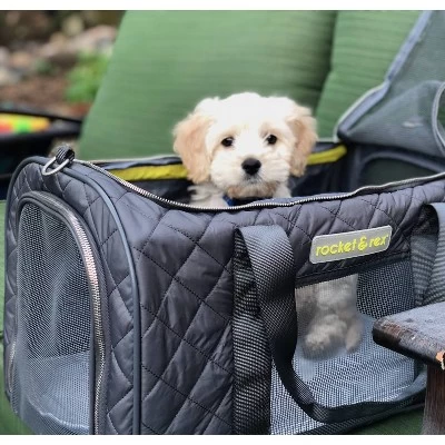 Rocket & Rex Small Cat And Dog Carrier 3 Rocket & Rex Small Cat And Dog Carrier - Image 3