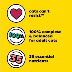 Temptations Seafood Medley Flavor Dry Cat Food -BlueBuffalo Sales Store GUEST 66e1b393 7e20 417d afd0 a6cd40ed7cc9