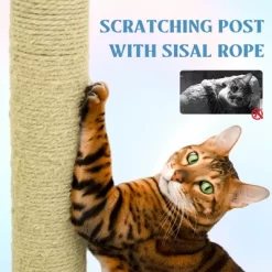 Lirago 71" Blue Flower Cat Tree With Large Cat Condo Removable Flower Cushion Hammock Scratching Posts 9 Lirago 71" Blue Flower Cat Tree With Large Cat Condo Removable Flower Cushion Hammock Scratching Posts -BlueBuffalo Sales Store GUEST 691a0da0 a2fe 4bd2 9324 a9397ca4d6e6