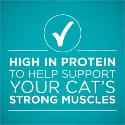 Purina ONE True Instinct Chicken Wet Cat Food - 3oz 17 Purina ONE True Instinct Chicken Wet Cat Food - 3oz -BlueBuffalo Sales Store GUEST 6ade7611 7198 43cc 9634 642063325816