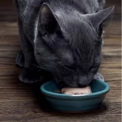 Sheba Kitten Soft Pate Perfect Portions Wet Cat Food With Salmon & Chicken Flavor - 31.7oz/12ct 9 Sheba Kitten Soft Pate Perfect Portions Wet Cat Food With Salmon & Chicken Flavor - 31.7oz/12ct -BlueBuffalo Sales Store GUEST 6b576889 97c8 4113 a209 22e3263104ba