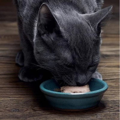 Sheba Kitten Soft Pate Perfect Portions Wet Cat Food With Salmon & Chicken Flavor - 31.7oz/12ct 4 Sheba Kitten Soft Pate Perfect Portions Wet Cat Food With Salmon & Chicken Flavor - 31.7oz/12ct - Image 4