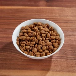 IAMS Proactive Health With Chicken Adult Premium Dry Cat Food -BlueBuffalo Sales Store GUEST 6b763d2c c253 445c b10c 475c4720a687