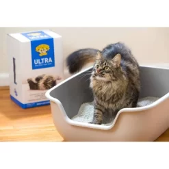 Dr. Elsey's Fragrance Free Ultra Unscented Cat Litter - 35lb -BlueBuffalo Sales Store GUEST 6bafa137 1b36 4eb8 9549 24db028feee8
