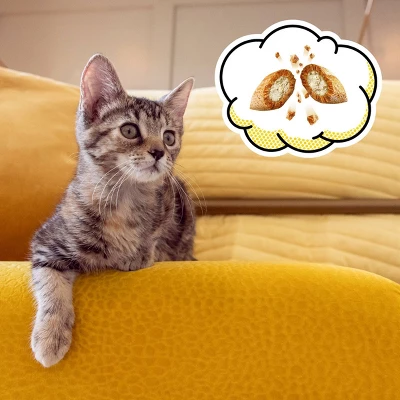 Temptations Salmon And Milk Flavor Crunchy Kitten Treats - 6.3oz 5 Temptations Salmon And Milk Flavor Crunchy Kitten Treats - 6.3oz - Image 5