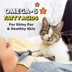 Temptations Seafood Medley Flavor Dry Cat Food -BlueBuffalo Sales Store GUEST 6c9b4ece df64 4195 b0f2 c0c116220e34