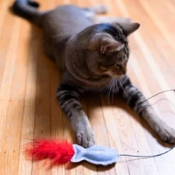 Pavilion Gift Company - Fish - 18" Cat Teaser Wand - Pet Toy