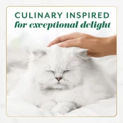 Fancy Feast Gems Chicken Flavor Adult Wet Cat Food - 2oz/2ct -BlueBuffalo Sales Store GUEST 6d8df106 cca9 4831 b781 165a39eada4a