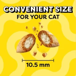 Temptations Classic Seafood Medley Flavor Crunchy Cat Treats - 6.3oz -BlueBuffalo Sales Store GUEST 6fd7b2ba 38eb 4054 ad20 38ea6b3c3645