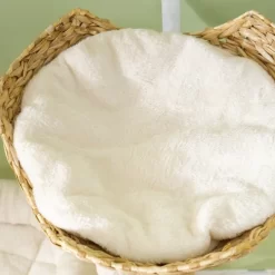 PawHut Cat Tree For Indoor Cats, 41" Cat Tower With Wooden Cat Scratching Posts, Cat Condo, Cat Beds & Toy Balls, Cream White -BlueBuffalo Sales Store GUEST 70ae2f32 6a97 4f17 9dcd 7a0c75db737b