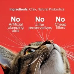 Boxiecat Extra Strength Odor Control Clumping Clay Cat Litter -BlueBuffalo Sales Store GUEST 71cfd168 2e93 48c5 9a0f 7aa28963983a