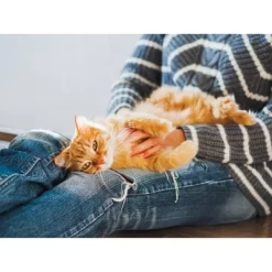 Naturally Fresh Multi-Cat Clumping Litter - 14lbs 7 Naturally Fresh Multi-Cat Clumping Litter - 14lbs -BlueBuffalo Sales Store GUEST 73871a8a ea21 4c21 a01c 7e3a40b881f5