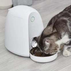 Dogness Mini App Automated Pet Feeder -BlueBuffalo Sales Store GUEST 73c38f8e 1bf2 4927 978d d0697be0455a