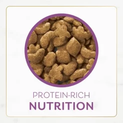 Fancy Feast Gourmet Savory Chicken And Turkey Dry Cat Food - 12lbs -BlueBuffalo Sales Store GUEST 74e73dcb e21b 4333 8891 52bc38fd2088 1