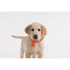 Tickless Natural Flea & Tick Repellent For All Dog Sizes - Orange