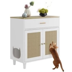 Cat Litter Box Cabinet Corner Hidden Litter Box Enclosure With Scratching Board Doors & Storage Drawer -BlueBuffalo Sales Store GUEST 75c603f3 b010 4de0 a2ae 3049066505dd