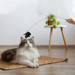 Unique Bargains Handheld Cat Teaser With Bell Fluffy Plume Teasing Sticks Black Brown -BlueBuffalo Sales Store GUEST 7754ed86 2c7c 49a8 b9fe 2be5a55e2c83