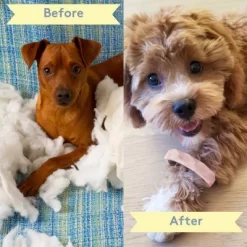 Sweet Paws Silicone Teether Stack Toy Set -BlueBuffalo Sales Store GUEST 790acba9 0513 4f20 8525 dcc1be7cf3fd