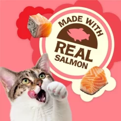 Purina Friskies Party Mix Seafood & Salmon Natural Yums Crunchy Cat Treats - 6oz -BlueBuffalo Sales Store GUEST 7ab03b49 13a0 4d1b bcaf 5f3fee2b52ed
