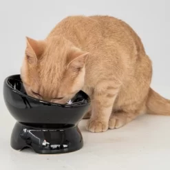 Dexypaws: Elevated Ceramic Cat Bowl, Black, 7oz, Pet Feeding Dish