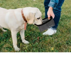 PetAmi Travel Dog Food Bag, Pet Cat Collapsible Bowls Set, Portable Foldable Waterproof Lining -BlueBuffalo Sales Store GUEST 7c398279 b5c1 4f07 842a f15dcfd1efab