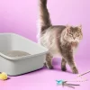 Up & Up Standard Waste Cat Pan - Gray - XL - Up&up™