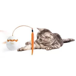 All For Paws Allforpaws Intractive Cat Toy Dinosaur Egg Spinner Cat Toy, Orange -BlueBuffalo Sales Store GUEST 7d3305f5 7ce3 4223 849f a79d8b6305b8