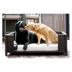 Iconic Pet Beds For Dogs And Cats - Rattan Rectangular Sofa - Brown 16 Iconic Pet Beds For Dogs And Cats - Rattan Rectangular Sofa - Brown -BlueBuffalo Sales Store GUEST 7d90b53c 350e 4a81 9f9c 9391b44bb81b