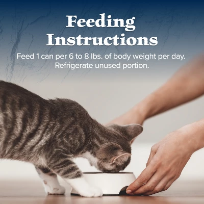 Blue Buffalo Wilderness High Protein Grain Free Natural Mature Pate Wet Cat Food With Chicken Recipe - 5.5oz 8 Blue Buffalo Wilderness High Protein Grain Free Natural Mature Pate Wet Cat Food With Chicken Recipe - 5.5oz - Image 8