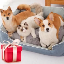 BABYYER Cat Grooming Brushes, Pet Hair Cleaner Brush, Pet Massage Brushes For Cats Dogs With Self-Cleaning Button,for Removing Tangles Loose Fur -BlueBuffalo Sales Store GUEST 80b77b38 3a1b 4fb7 bf7a f39c365d7d74